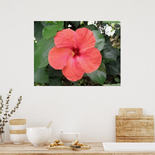 Schönes Orange Hibiskus Blume Poster (Küche)