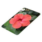 Schönes Orange Hibiskus Blume Premium Magnet (Linke Seite)