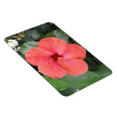Schönes Orange Hibiskus Blume Premium Magnet (Rechte Seite)