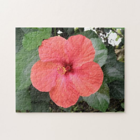 Schönes Orange Hibiskus Blume Puzzle (Horizontal)