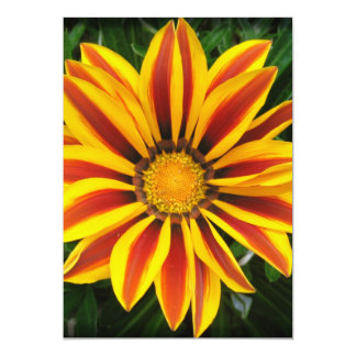 Sonne Blumen Einladungen Zazzle de