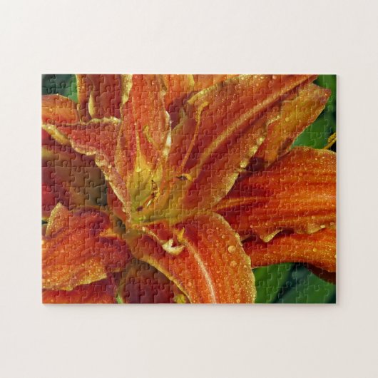 Schönes Orangenlippenpuzzle Puzzle (Horizontal)