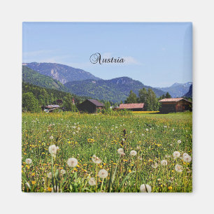 Schönes Österreich Magnet