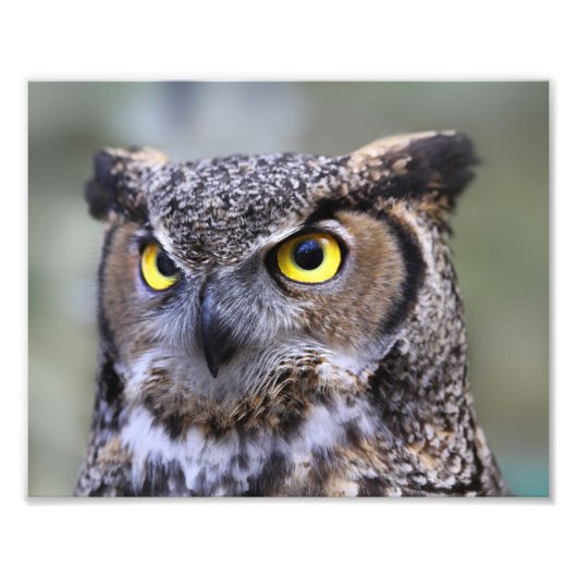 Schönes Outdoor Wildlife Scenery Foto Print (Vorne)