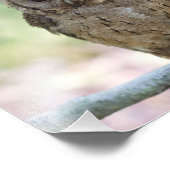 Schönes Outdoor Wildlife Scenery Foto Print (Ecke)