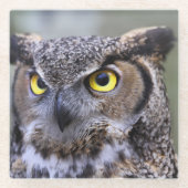 Schönes Owl Glasuntersetzer (Vorderseite)