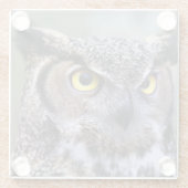 Schönes Owl Glasuntersetzer (Rückseite)