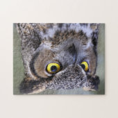 Schönes Owl Jigsaw Puzzle (Horizontal)