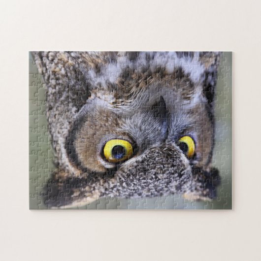 Schönes Owl Jigsaw Puzzle (Horizontal)