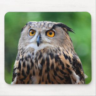Schönes Owl Mouse Pad Mousepad