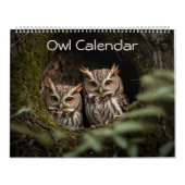 Schönes Owl Portrait Collection 2025 Kalender (Titelbild)