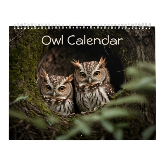 Schönes Owl Portrait Collection 2025 Kalender (Titelbild)