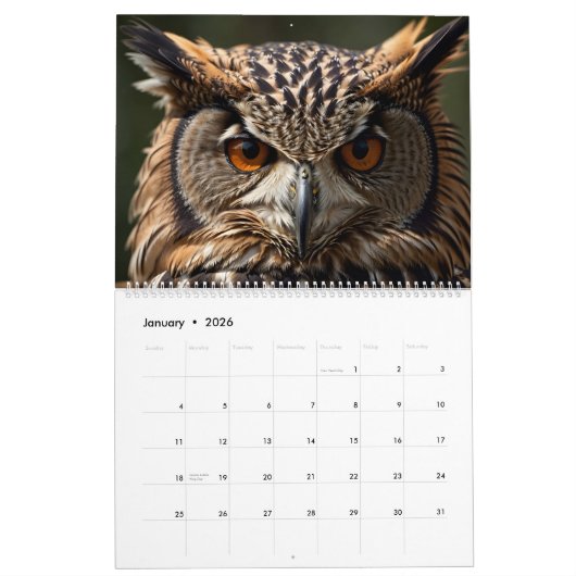 Schönes Owl Portrait Collection 2025 Kalender (Jan 2026)