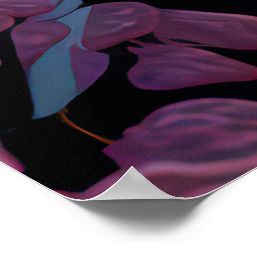 Schönes Owl Portrait Poster (Ecke)