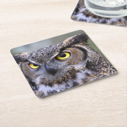 Schönes Owl Untersetzer Set (angewinkelt)
