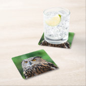 Schönes Owl Untersetzer Set (Vor Ort)