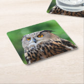 Schönes Owl Untersetzer Set (angewinkelt)