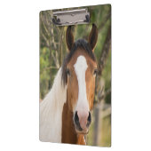 Schönes Paint Horse Klemmbrett (Links)