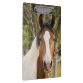 Schönes Paint Horse Klemmbrett (Rechts)