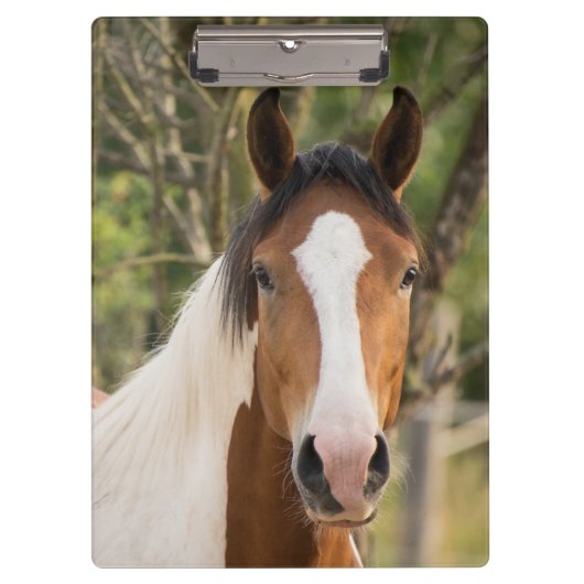 Schönes Paint Horse Klemmbrett (Vorderseite)