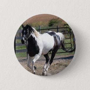 Schönes Paint Pinto Pferd Button