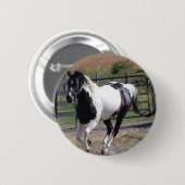 Schönes Paint Pinto Pferd Button (Vorne & Hinten)