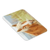 Schönes Palomino Farm Hornet Magnet (Rechte Seite)