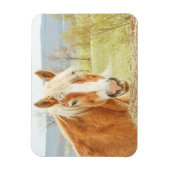 Schönes Palomino Farm Hornet Magnet (Vertikal)