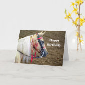 Schönes Palomino Foto Geburtstag Karte (Gelbe Blume)