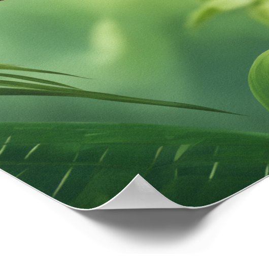 Schönes Parakeet im Dschungel Poster (Ecke)