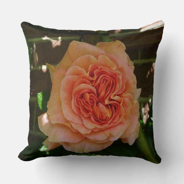 Schönes Pastell Rose Kissen (Vorderseite)