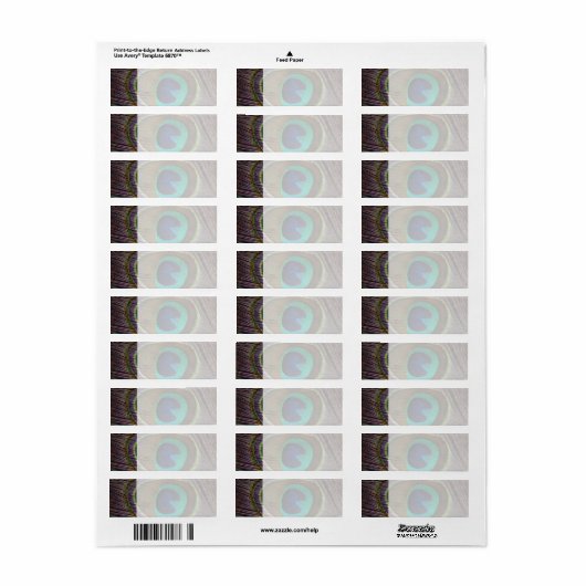 Schönes Peacock Feather (Vorne)