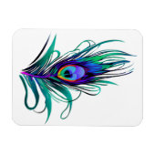 Schönes Peacock Feather Magnet (Horizontal)