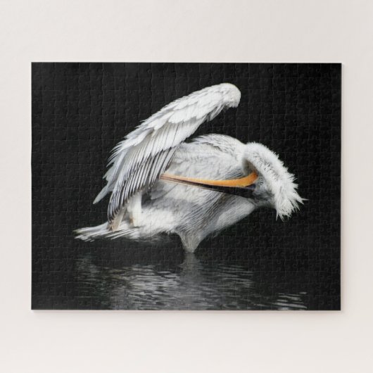 Schönes Pelican, Jigsaw Puzzle (Horizontal)