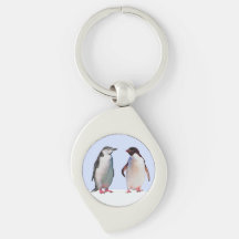 Schönes Penguin Bird Couple auf Light Blue