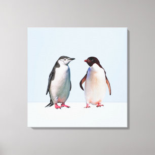 Schönes Penguin Couple auf Light Periwinkle Blue Leinwanddruck