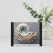Schönes, perlmutterbraunes Ammoniak-Fossil Postkarte (Stehend Vorderseite)