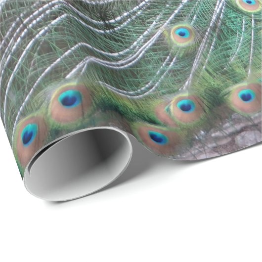 Schönes Pfau-Vogel-Gefieder-bunte Feder Geschenkpapier (Rolleneckpunkt)