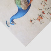 Schönes Pfauendekoupage Seidenpapier (Detail)