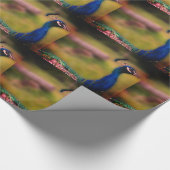 Schönes Pfauenwackelpapier für das Foto Geschenkpapier (Ecke)