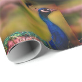 Schönes Pfauenwackelpapier für das Foto Geschenkpapier (Rolleneckpunkt)