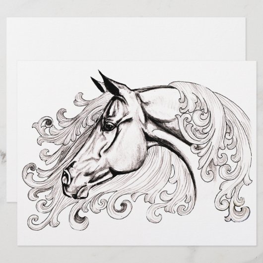 schönes Pferd (Vorne/Hinten)