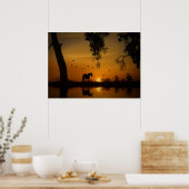 Schönes Pferd am Goldenen Teich mit Vögeln Poster (Küche)