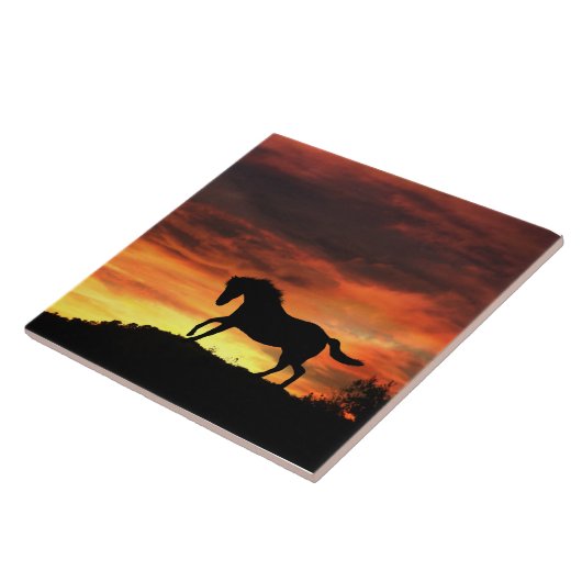 Schönes Pferd Art Tile Fliese (Seite)