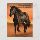 Schönes Pferd auf orangefarbenem Sonnenaufgang Postkarte (Vorderseite)