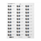 Schönes Pferd, das die Mane-Rücksendeadresse bläst (Vorne)