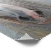 Schönes Pferd Decoupage drucken Poster (Ecke)