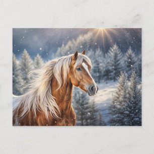 Schönes Pferd im Schnee Weihnachten Postkarte