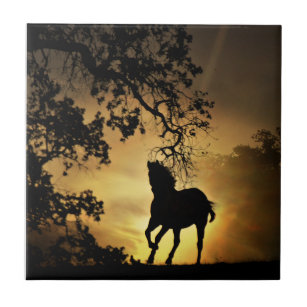 Schönes Pferd im Sonnenuntergang Kunst-Tile Fliese