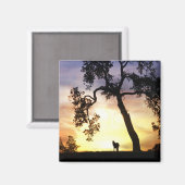 Schönes Pferd im Sonnenuntergang Magnet (Vorderseite/Rückseite)